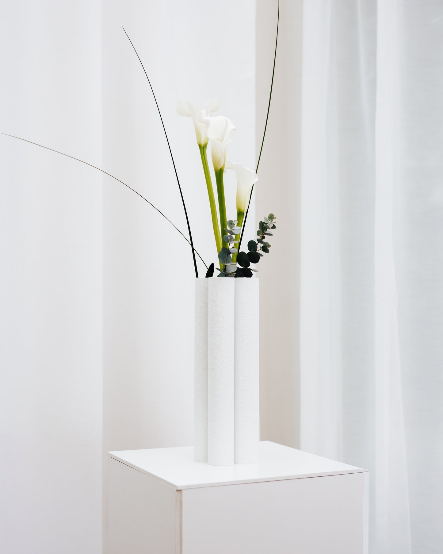 Vase Radix